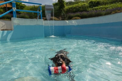 Vakantie-appartementen in Le Marche 30 289A5410