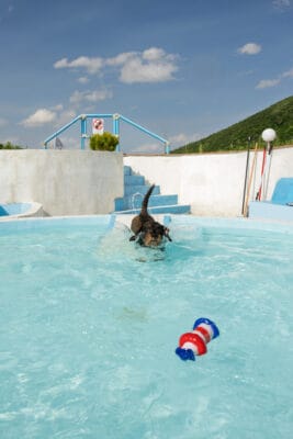 Vakantie-appartementen in Le Marche 29 289A5675